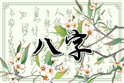 命宫、身宫与胎元