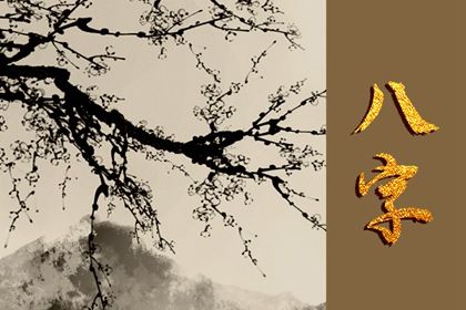 四柱结构：年月日时的分工