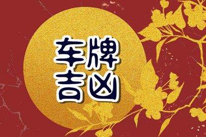 车牌数字解读