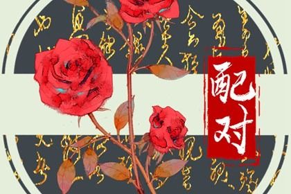 先合婚再择日：常见流程