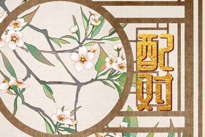 八字退款,八字相配,九宫八卦排盘,家庭八字