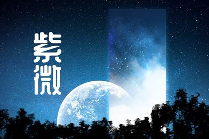 数字化紫微参考用法