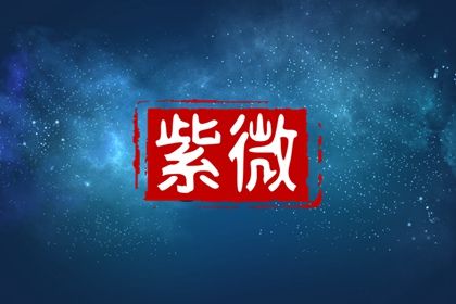 十二宫参考格用法