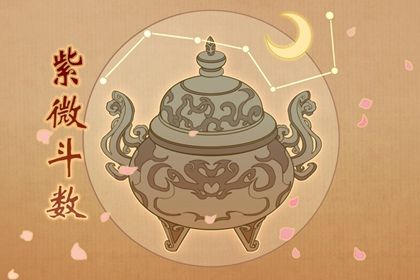 常见紫微误区
